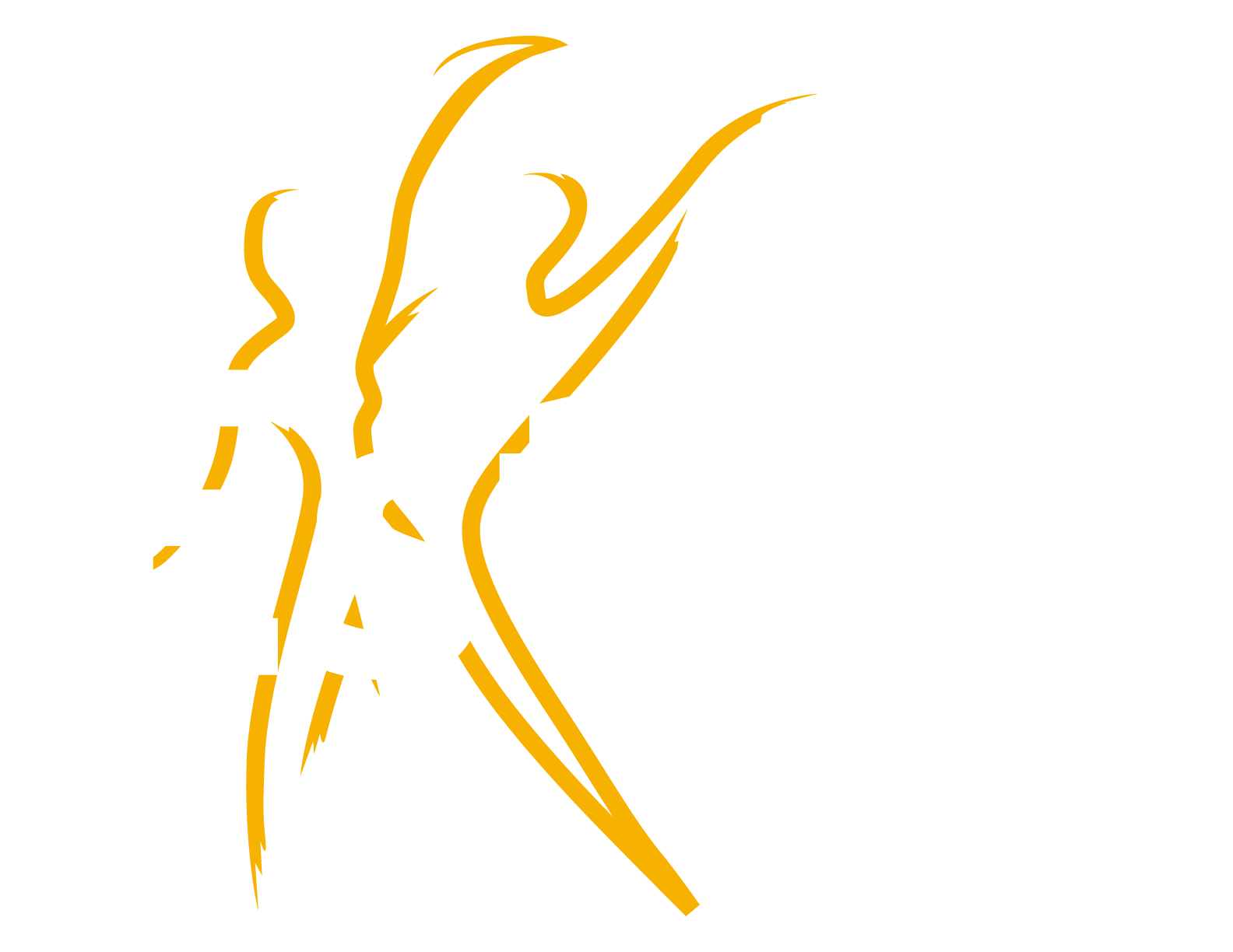 Estilo Latino Dance Company | Elizabeth New Jersey Estados Unidos | Salsa Bachata Ballet | Academia de Baile